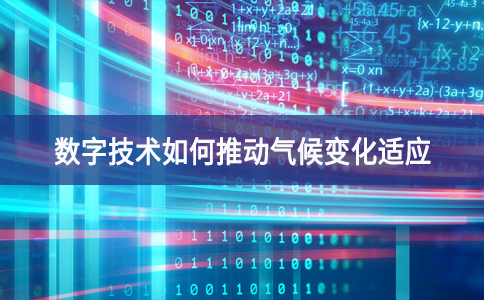數(shù)字技術如何推動氣候變化適應