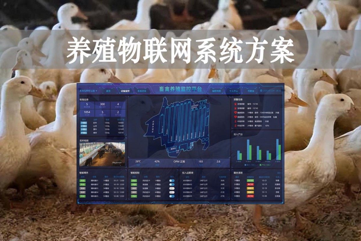 【智慧養(yǎng)殖】數(shù)字經(jīng)濟時代到來，養(yǎng)殖物聯(lián)網(wǎng)系統(tǒng)方案來了