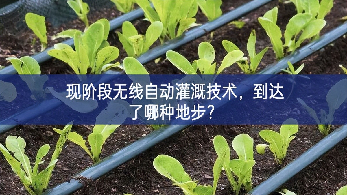 現(xiàn)階段無線自動灌溉技術(shù)，到達了哪種地步？