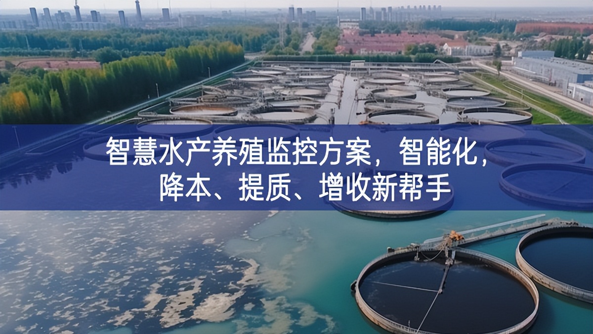 智慧水產(chǎn)養(yǎng)殖監(jiān)控方案，智能化，降本、提質(zhì)、增收新幫手
