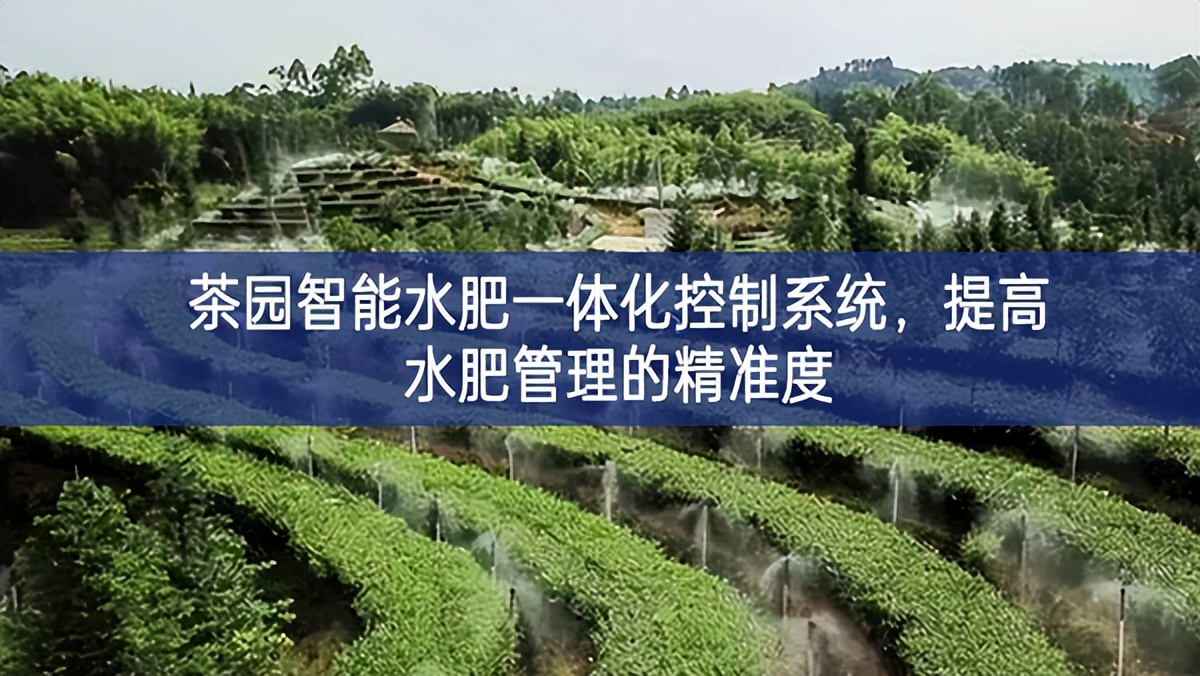 茶園智能水肥一體化控制系統(tǒng)，提高水肥管理的精準度