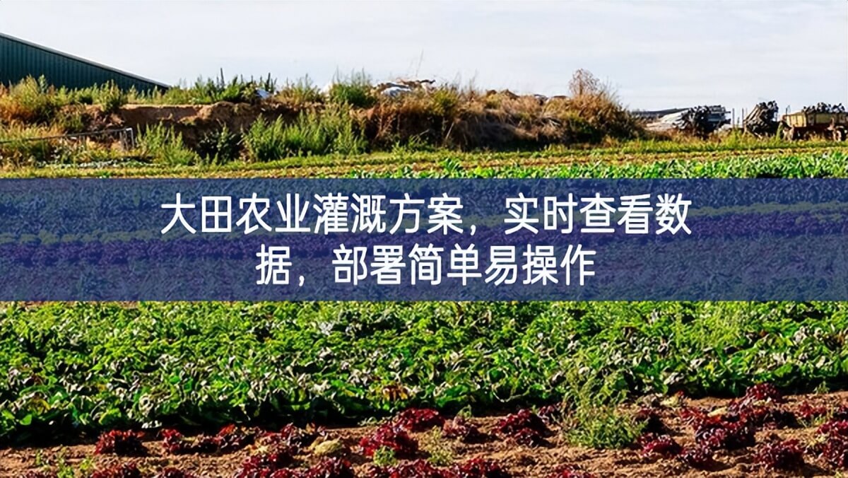 大田農(nóng)業(yè)灌溉方案，實(shí)時(shí)查看數(shù)據(jù)，部署簡(jiǎn)單易操作