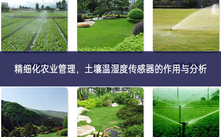 精細化農(nóng)業(yè)管理，土壤溫濕度傳感器的作用與分析