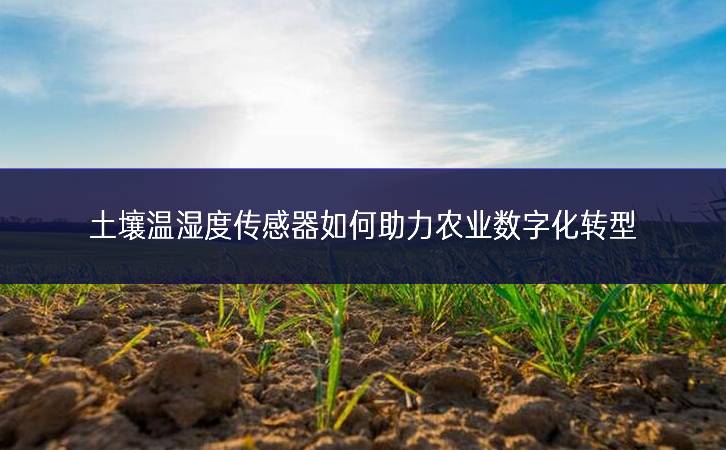 土壤溫濕度傳感器如何助力農(nóng)業(yè)數(shù)字化轉型