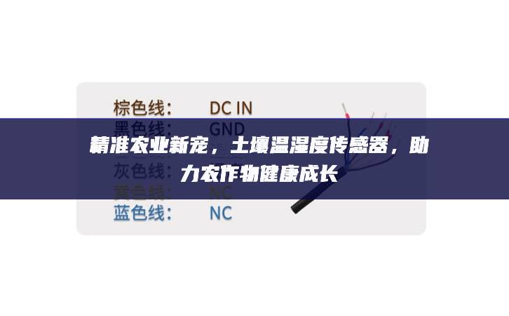 精準(zhǔn)農(nóng)業(yè)新寵，土壤溫濕度傳感器，助力農(nóng)作物健康成長