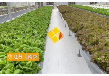 聚英智慧溫室控制系統(tǒng)，建設植物工廠，一年多茬