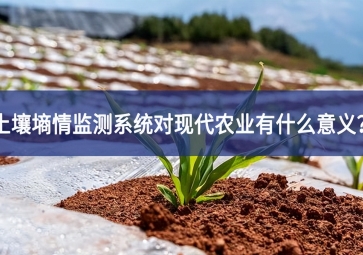 土壤墑情監(jiān)測(cè)系統(tǒng)對(duì)現(xiàn)代農(nóng)業(yè)有什么意義？