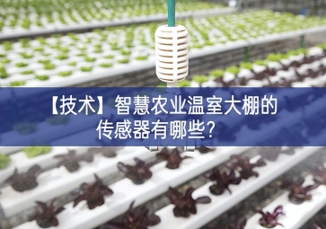 「技術(shù)」智慧農(nóng)業(yè)溫室大棚的傳感器有哪些？