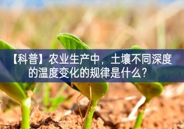 「科普」農(nóng)業(yè)生產(chǎn)中，土壤不同深度的溫度變化的規(guī)律是什么？