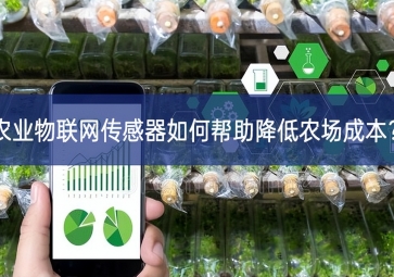 農(nóng)業(yè)物聯(lián)網(wǎng)傳感器如何幫助降低農(nóng)場成本？