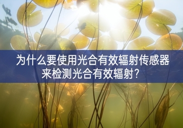 為什么要使用光合有效輻射傳感器來檢測光合有效輻射？