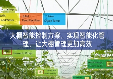 「智慧農業(yè)」大棚智能控制方案,實現(xiàn)智能化管理，讓大棚管理更加高效 