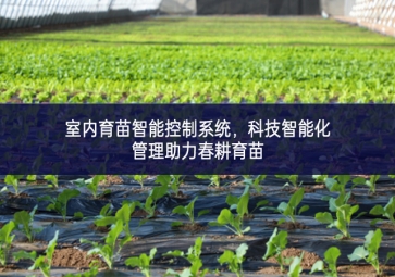 室內(nèi)育苗智能控制系統(tǒng)，科技智能化管理助力春耕育苗