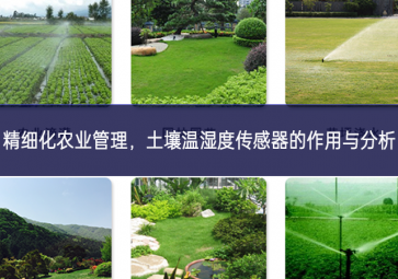 精細化農業(yè)管理，土壤溫濕度傳感器的作用與分析