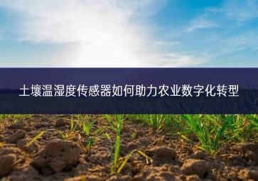 土壤溫濕度傳感器如何助力農業(yè)數字化轉型